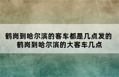 鹤岗到哈尔滨的客车都是几点发的 鹤岗到哈尔滨的大客车几点